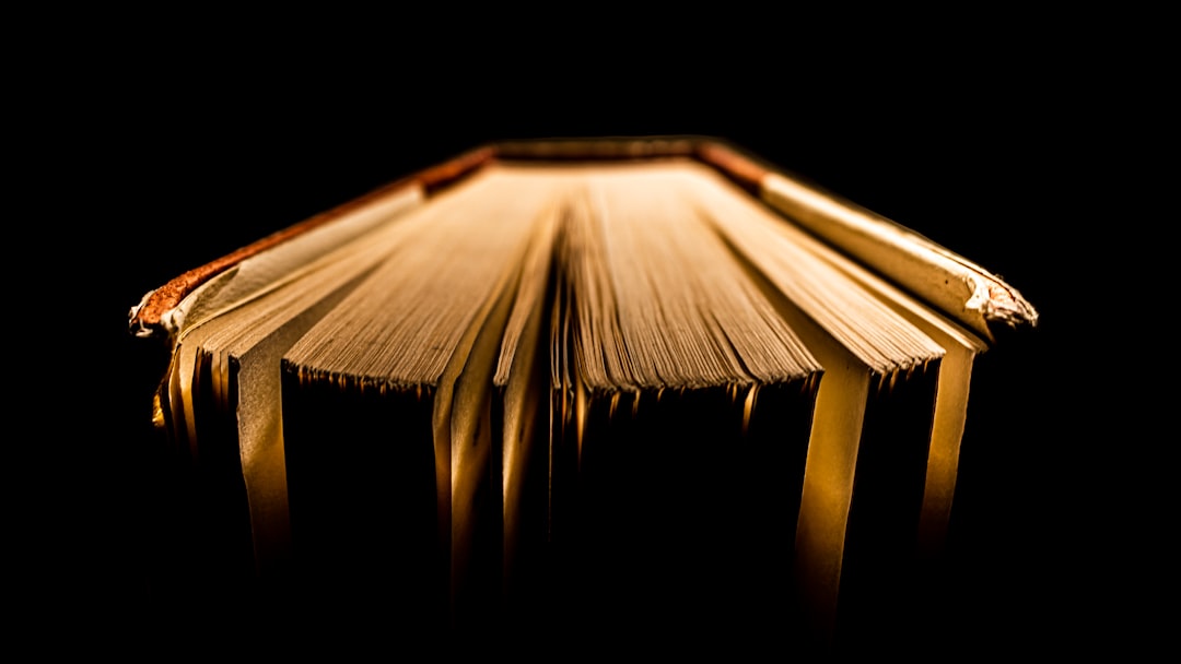 Lightricks - brown book on black background